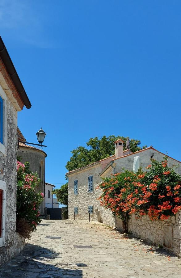 The Istrian Villa Vrsar Exteriör bild