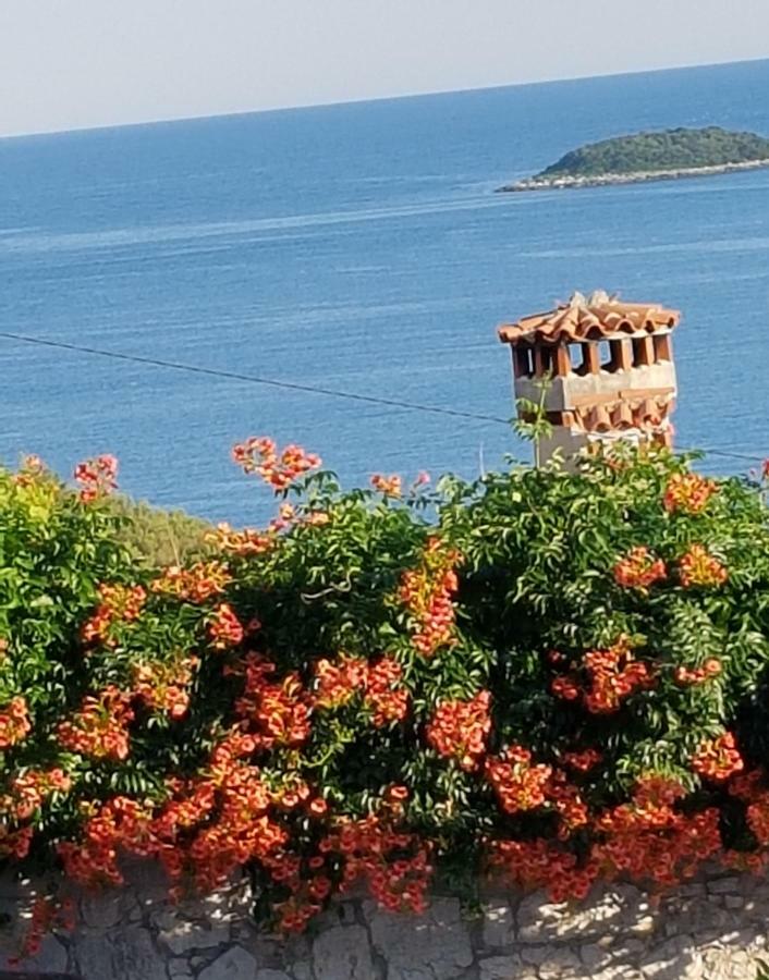 The Istrian Villa Vrsar Exteriör bild